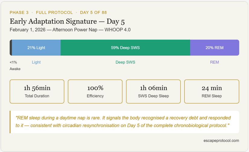 Infographic showing Day 5 power nap sleep staging: horizontal bar with 21% Light, 59% Deep SWS, 20% REM. Four metric cards: 1h56min total, 100% efficiency, 1h06min SWS, 24min REM. Quote: REM sleep during a daytime nap is rare — signals body recognised a recovery debt consistent with circadian resynchronisation.