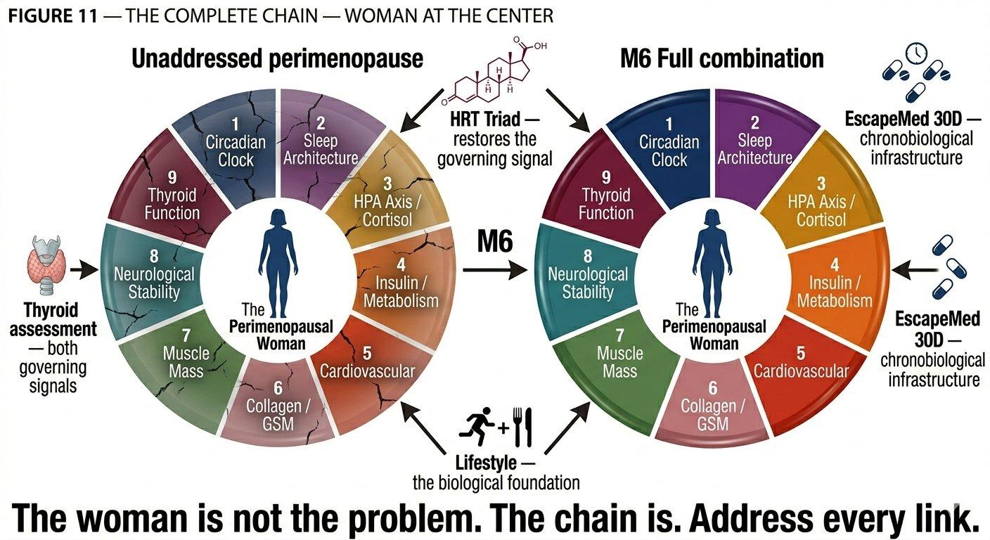 The Complete Chain — Woman at the Center: unaddressed vs M6 full combination