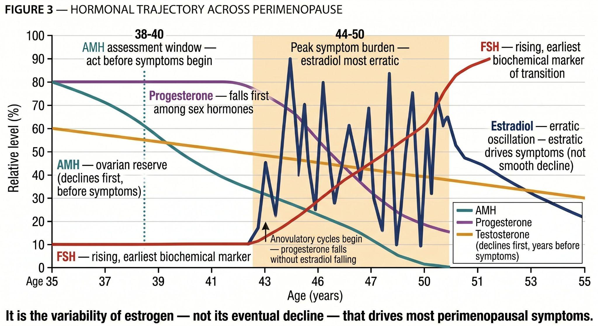 Hormonal trajectory across perimenopause: AMH, estradiol, progesterone, testosterone, FSH