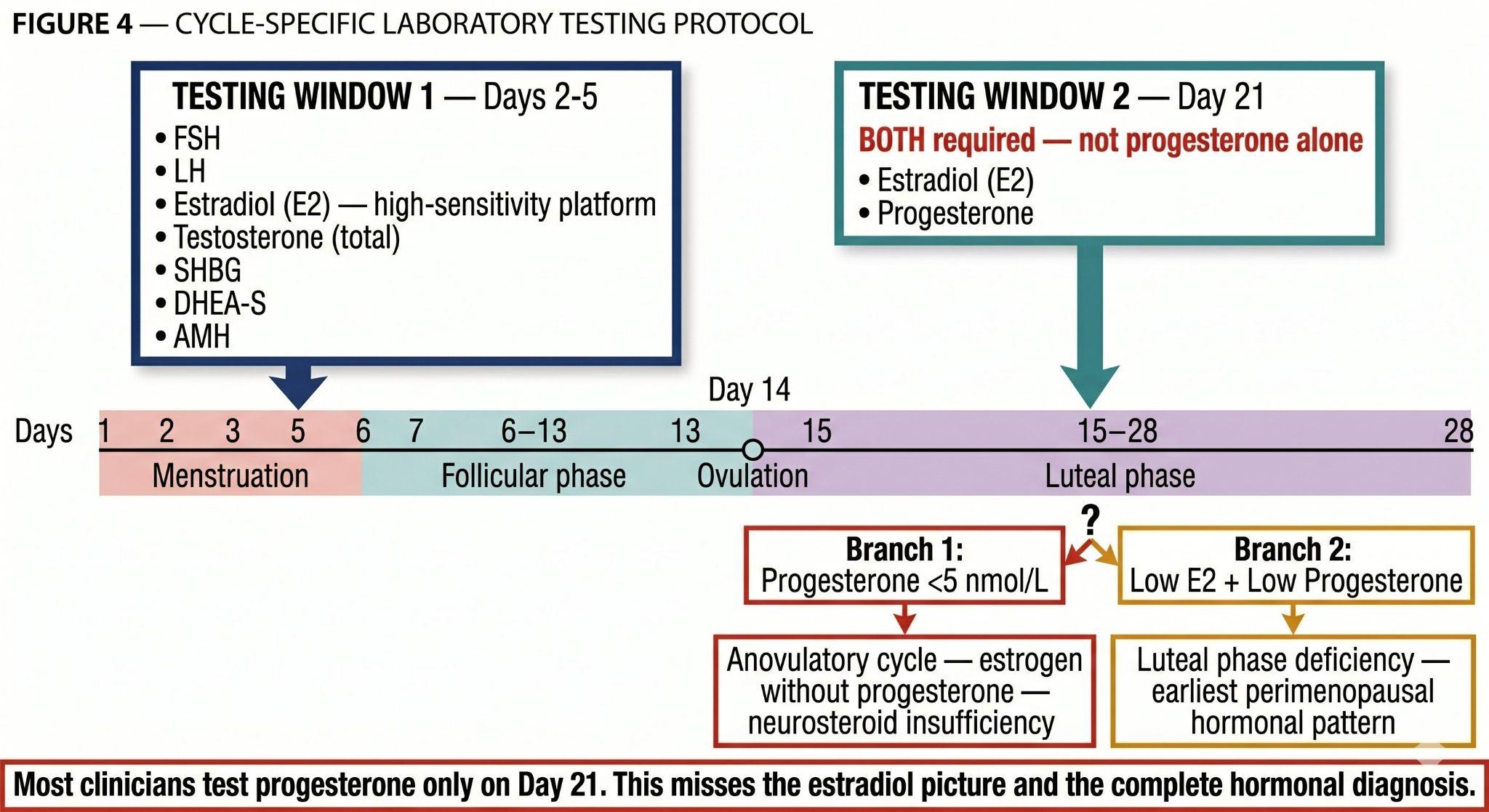 Cycle testing protocol timeline: Days 2-5 and Day 21 dual window