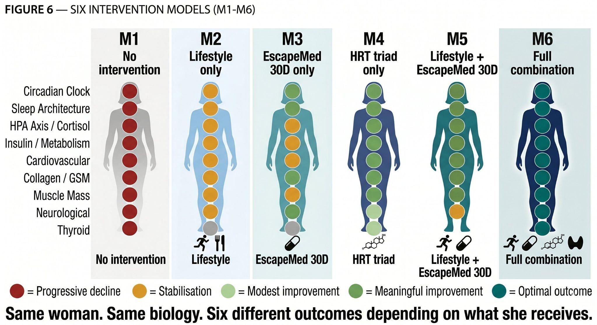 Six models — same 47-year-old woman, six intervention paths at 12 months