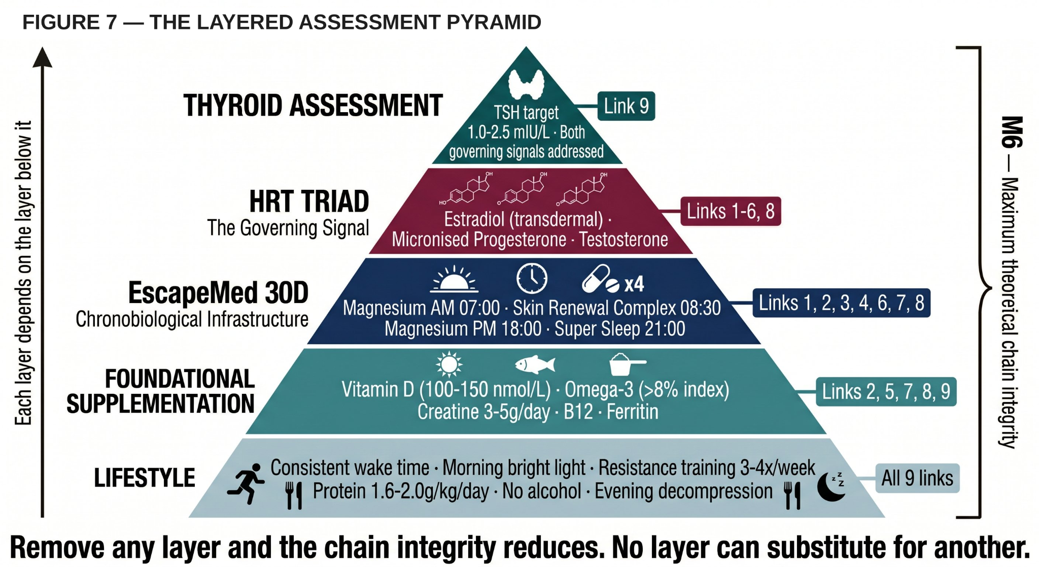 The M6 intervention stack — layered pyramid