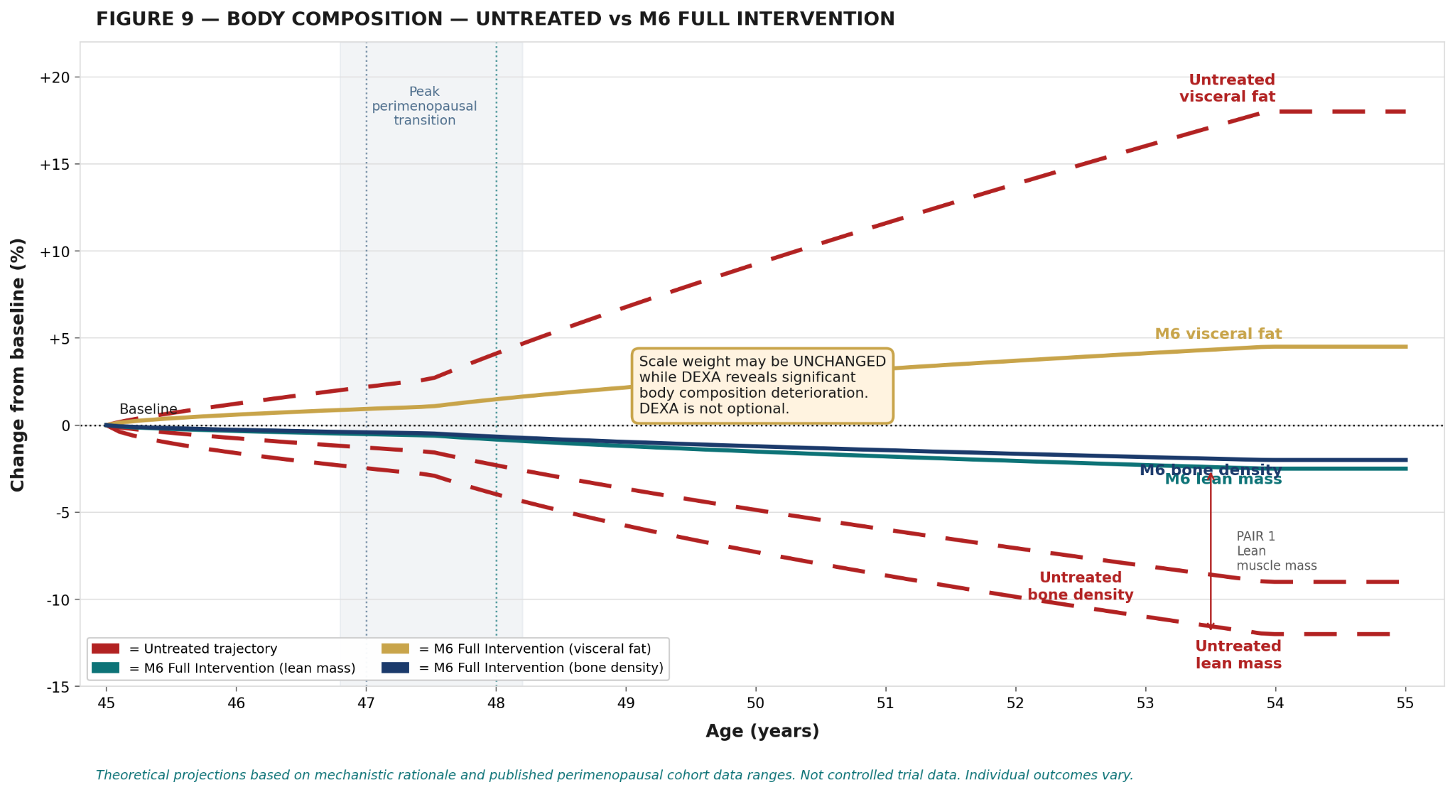 Body composition across perimenopausal transition with and without M6 intervention