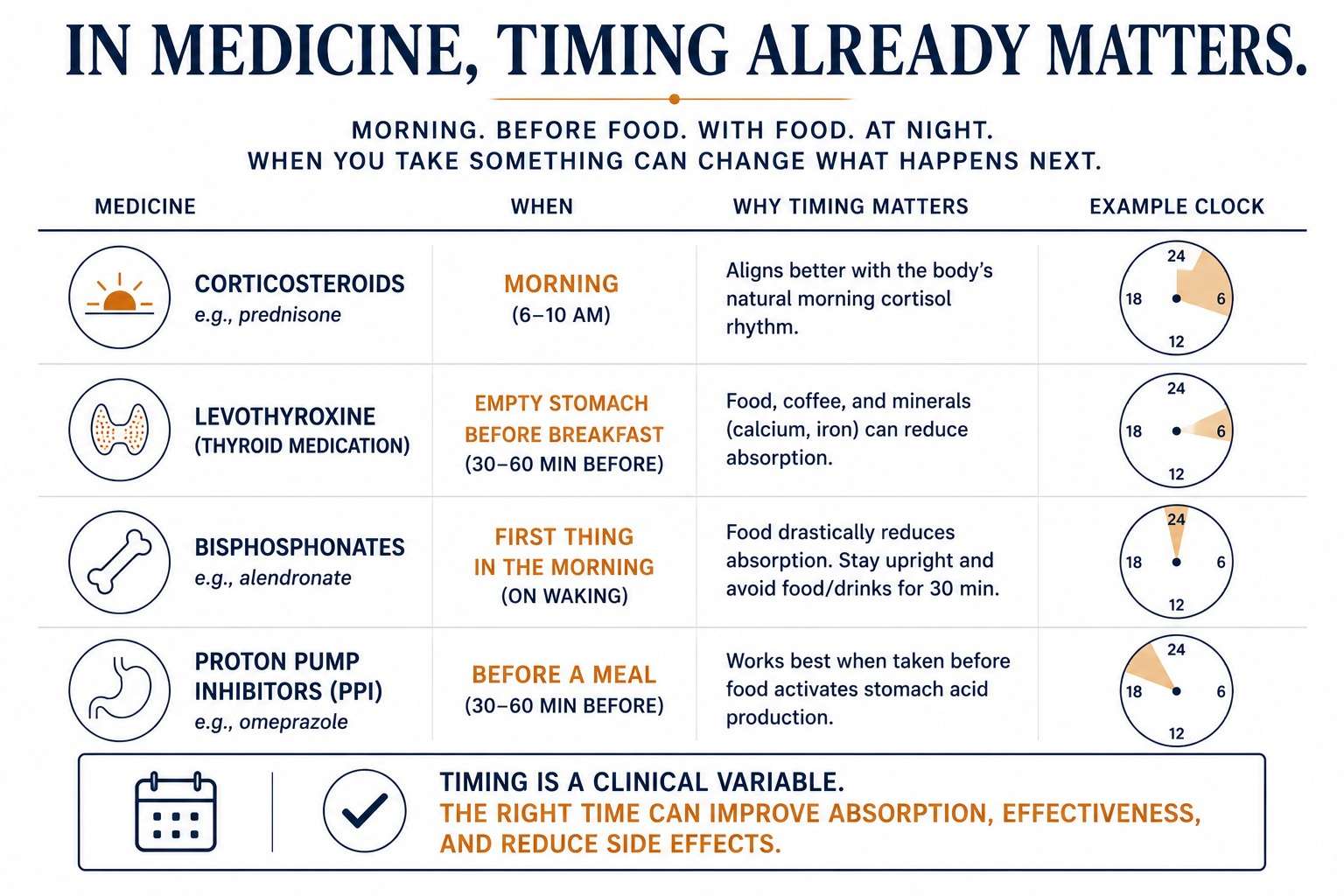 Four everyday clinical examples where the hour is part of the prescription: morning corticosteroids, levothyroxine on an empty stomach, bisphosphonates on waking upright before food, and proton pump inhibitors before a meal.