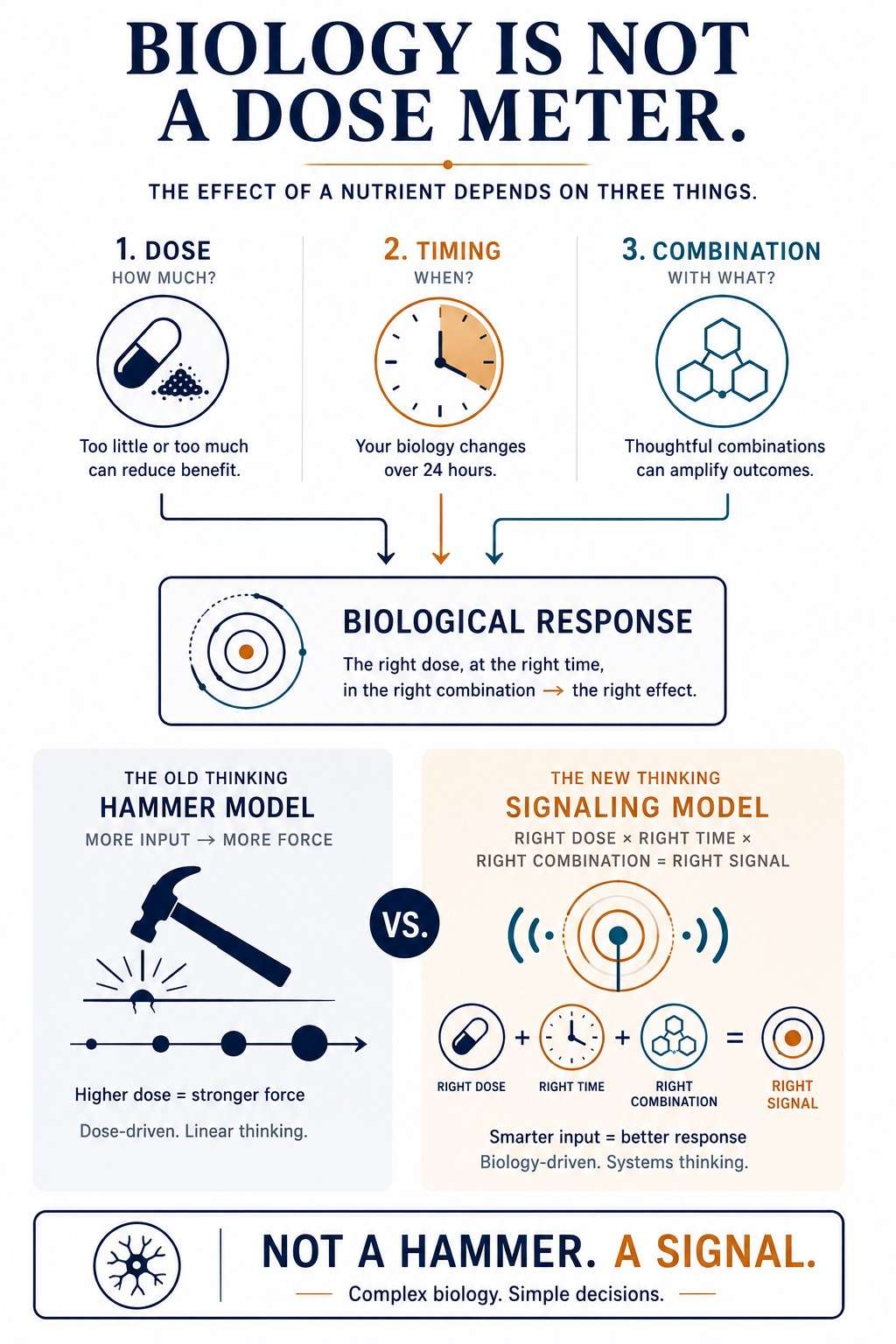 Contrast between a linear hammer model of dosing — more input, more effect — and a three-variable signal model in which how much, at what hour and alongside what else jointly determine the result.