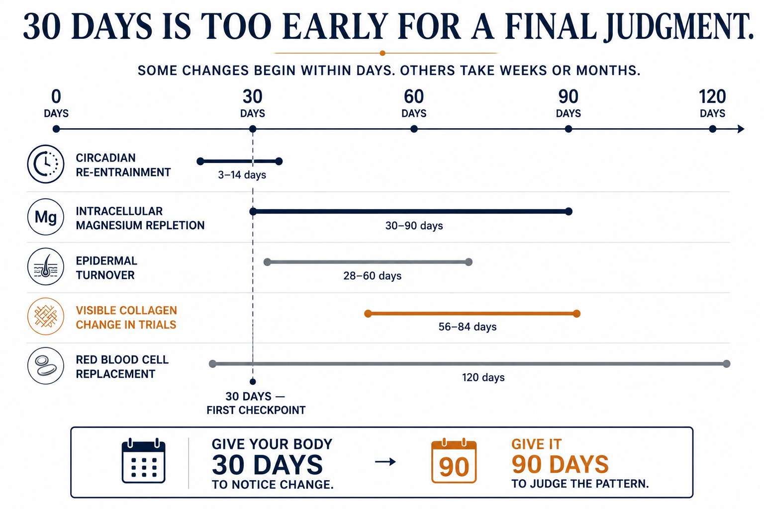 Timeline from 0 to 120 days showing circadian re-entrainment at 3–14 days, intracellular magnesium repletion at 30–90 days, epidermal turnover at 28–60 days, visible collagen change in trials at 56–84 days, and red blood cell replacement at 120 days, with a dashed line marking day 30.