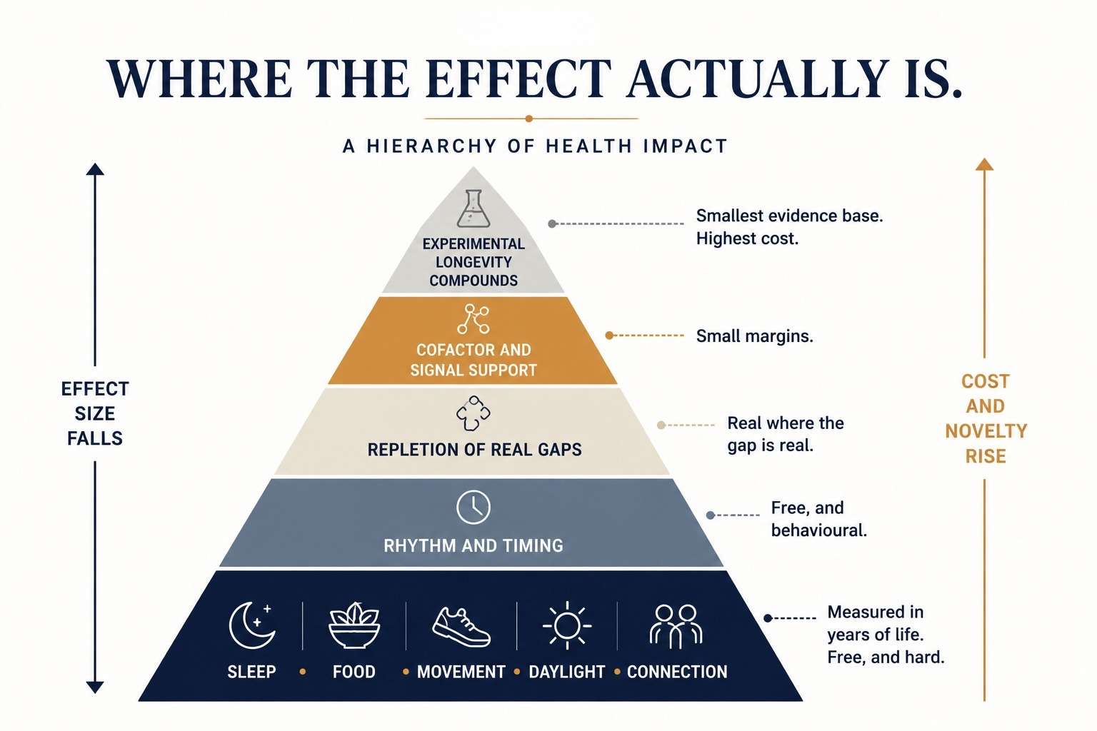 Pyramid diagram of intervention tiers, from a wide free base of sleep, food, movement, daylight and social connection, through rhythm and timing, repletion of genuine gaps, cofactor and signal support, up to a narrow top band of experimental longevity compounds.