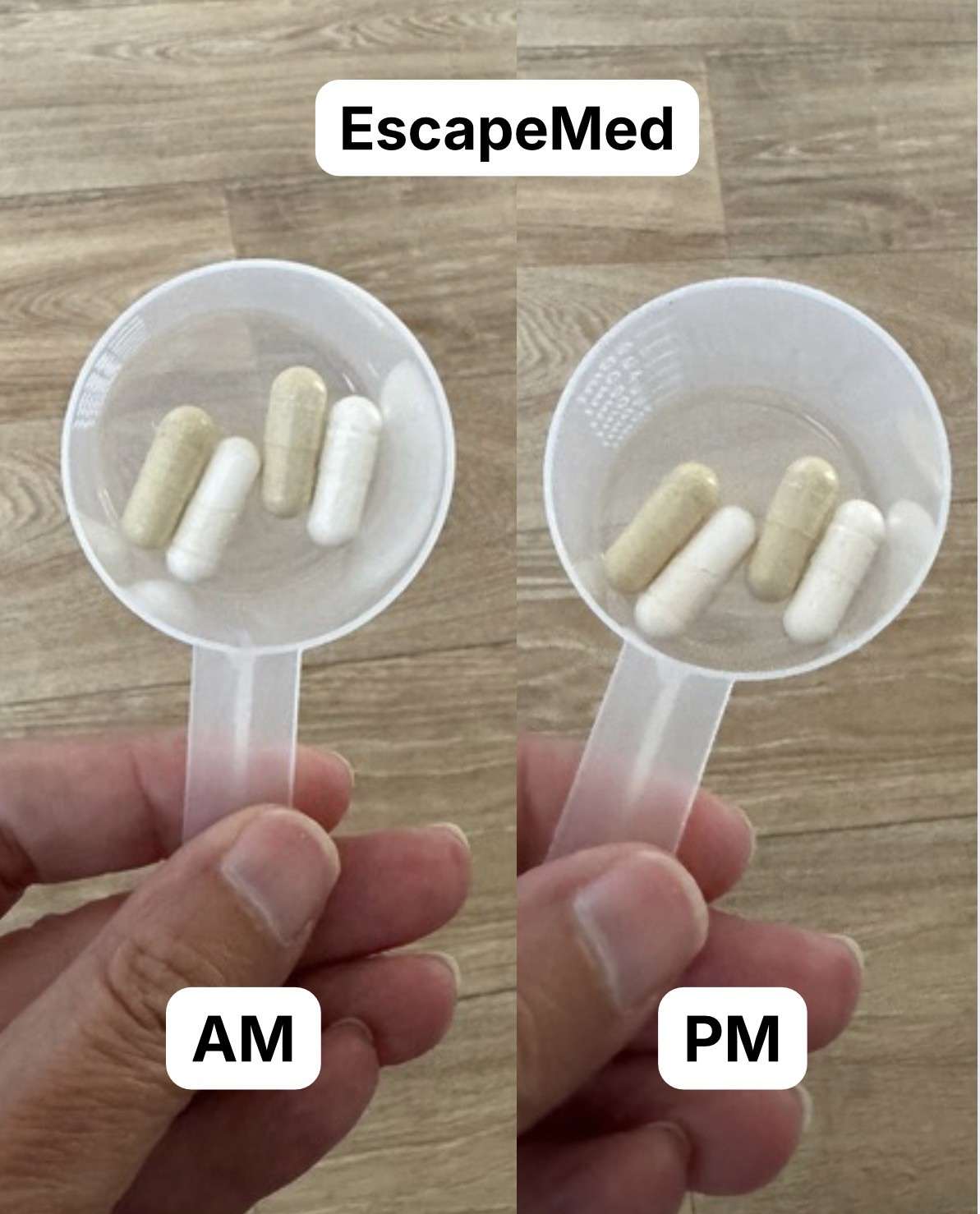 The same measuring scoop the powder category uses, holding capsules instead — a day of the EscapeMed protocol shown at the eight-capsule Intensive level, split into a morning and an evening handful.